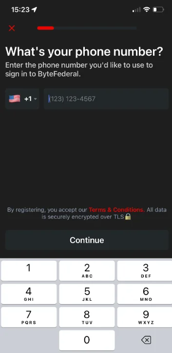 ByteVault verification screen